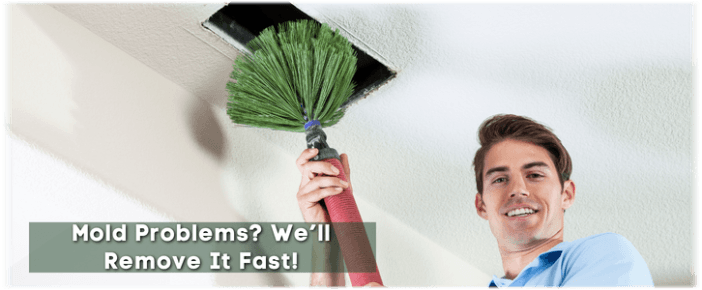 Air Duct Mold Removal in Rancho Cucamonga