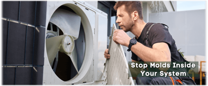 HVAC Mold Removal Rancho Cucamonga